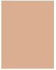 Actual product image Bourjois Healthy Mix Clean & Vegan Radiant Foundation (51.5C Rose Vanilla)