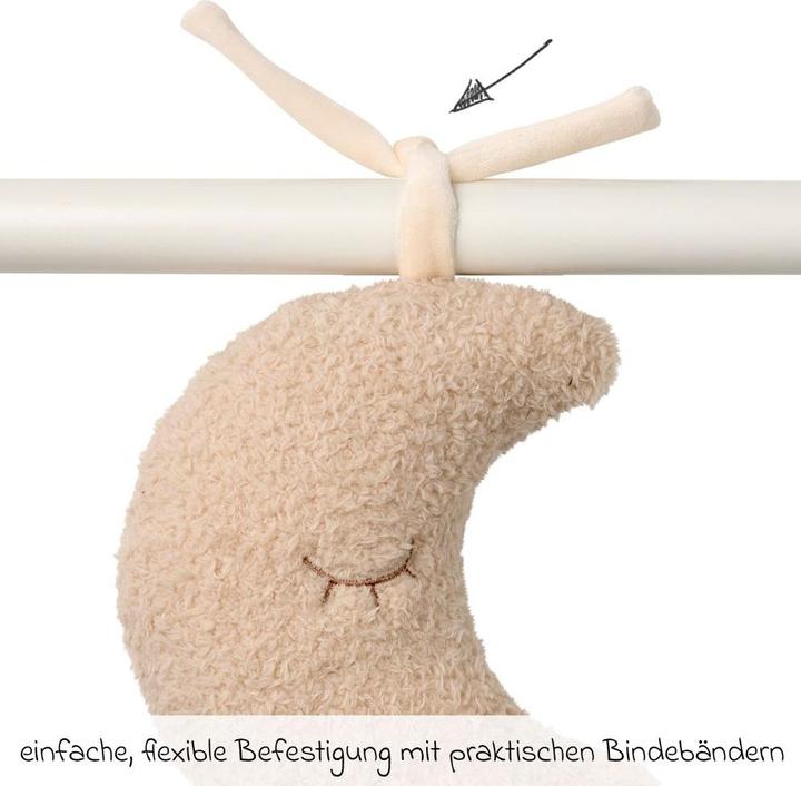 Actual product image Nattou Teddy moon