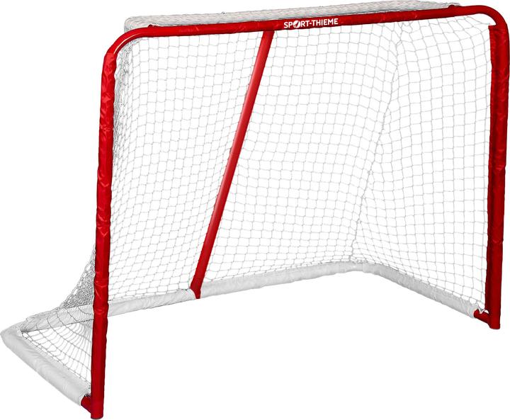 Sport-Thieme Streethockeytor Metall