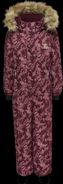 Image du produit hummel Icy Tex Snowsuit (104)