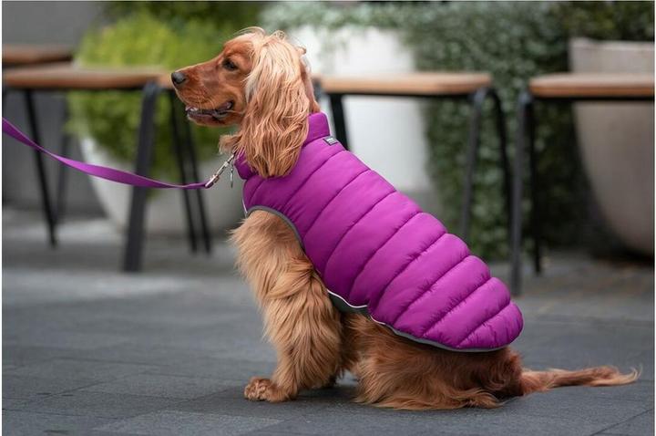 Image du produit Red Dingo Manteau pour chien Puffer 50 cm rose/violet (Manteau pour chien)