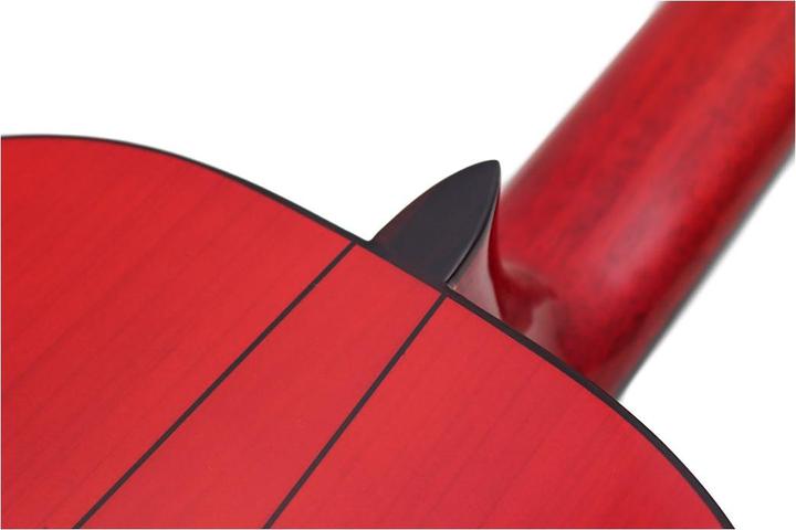 Actual product image Esteve Gipsy Kings by André Reyes (Classical guitar, Rosewood, Ebony, Spruce, Cedar)