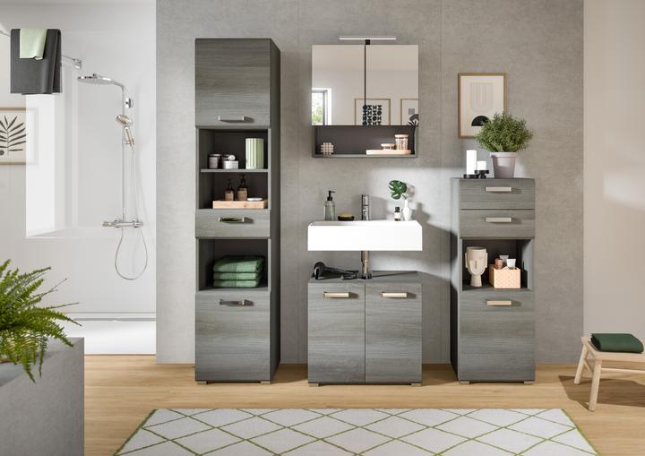 Produktbild Xonox Home Spiegelschrank Silver (60 x 16 cm)