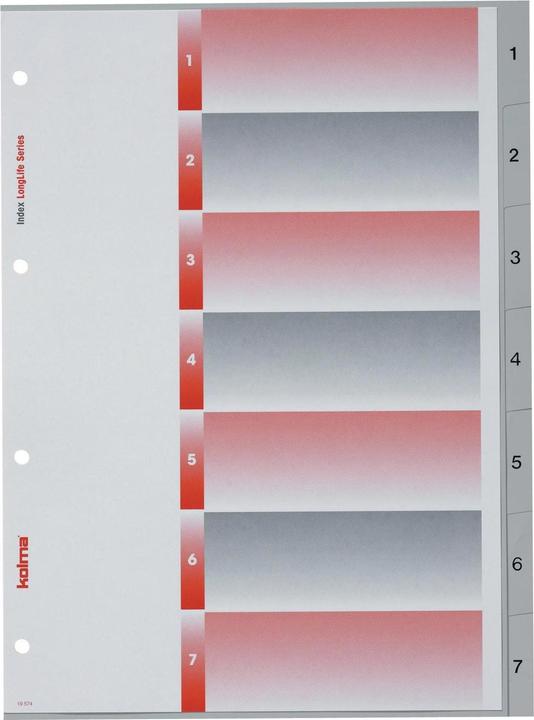 Actual product image Kolma Register A4 superstrong 1-7 7-piece grey
