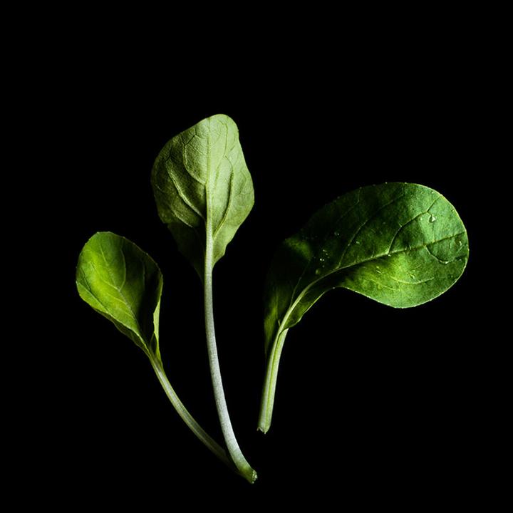 Immagine prodotto Plantui Pok Choy (Semi di verdura)