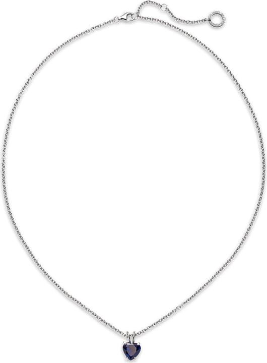 Produktbild Paul Hewitt PH-JE-0147 (Stahl, 45 - 50 cm)