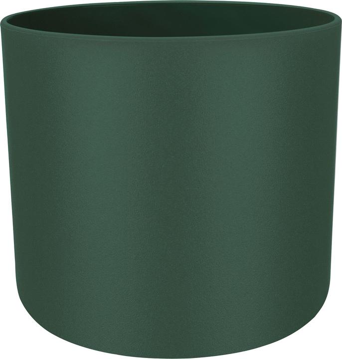Leaf Green