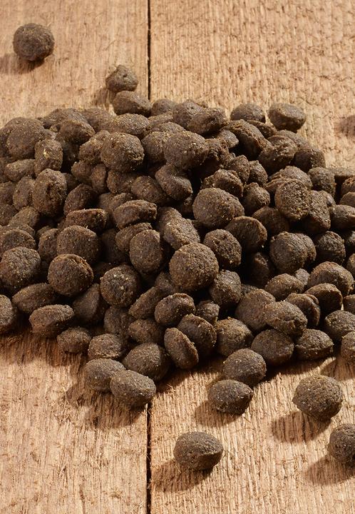 Produktbild Vet Concept Cat Intestinal - 1,5 kg