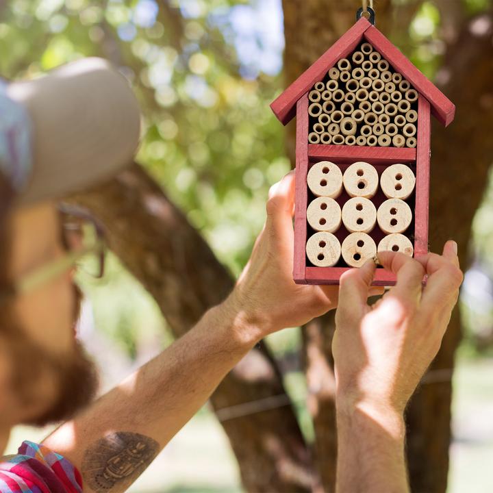 Actual product image Relaxdays Insect Hotel Assembly Kit, Bug Shelter (Lacewings, Wild bees, Ladybirds)