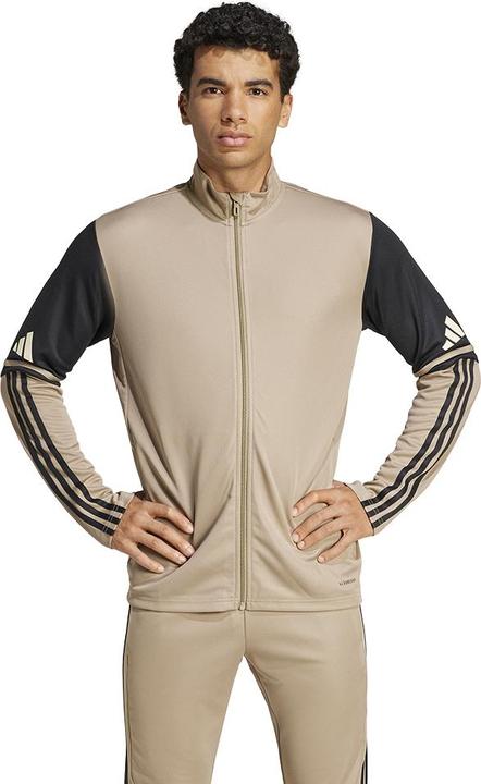 Actual product image adidas Squadra 25 training jacket (XL)