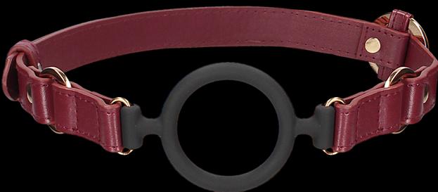 Produktbild Ouch! Ouch Halo - Silicone Ring Gag