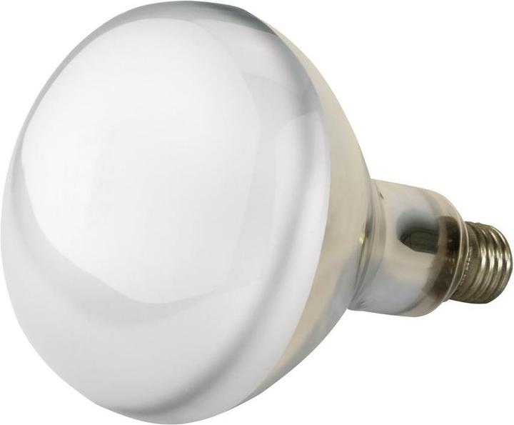 Kerbl Infralampe Hartglas klar E27 (250 W)