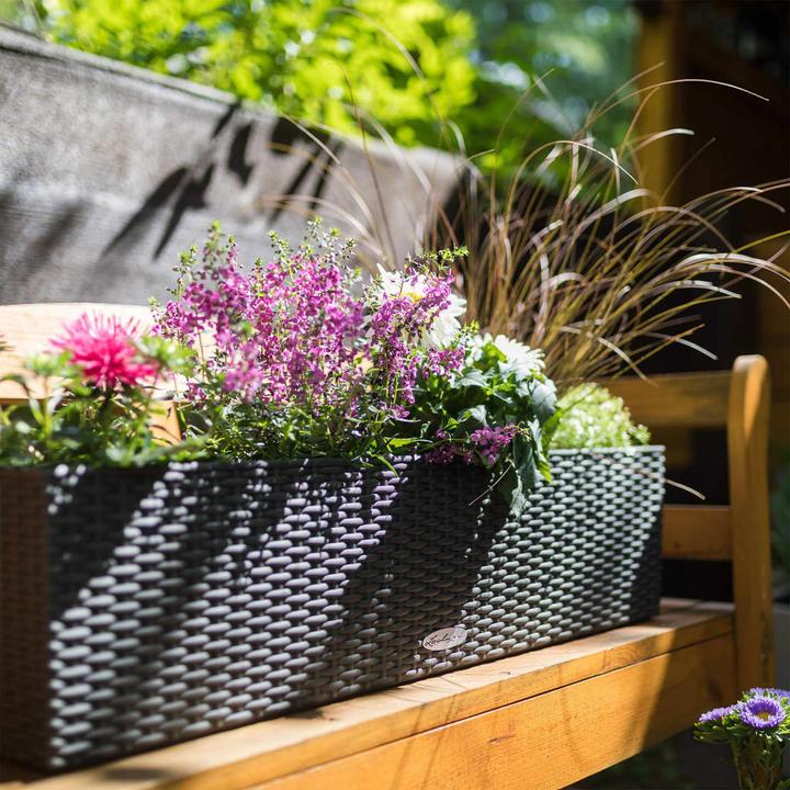 Immagine prodotto Lechuza Balconera Cottage (19 cm)
