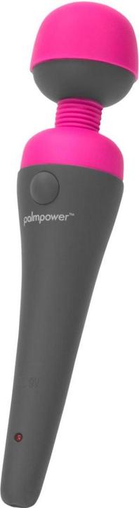 Actual product image Palmpower Massager