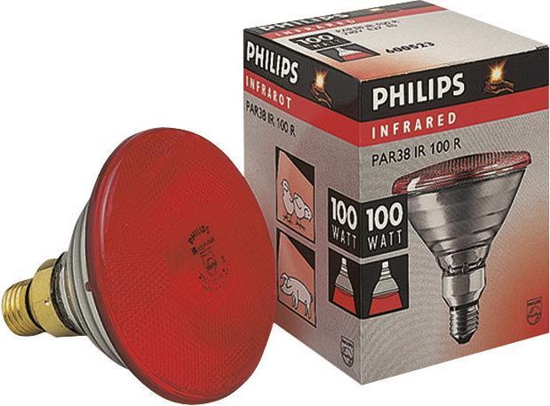 Actual product image Philips 22302 Economy lamp, 100 W, red (100 W)