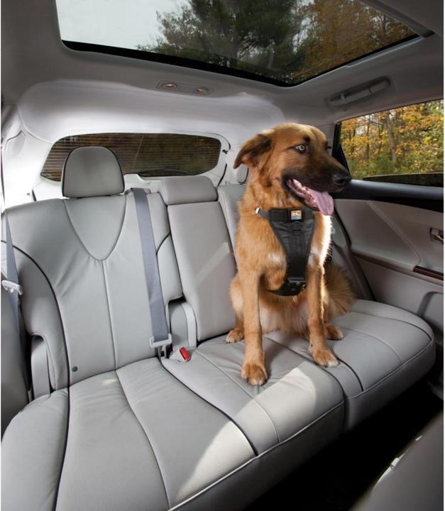 Actual product image Kurgo Tru-Fit-Smart safety harness with belt (S, Dog, General)