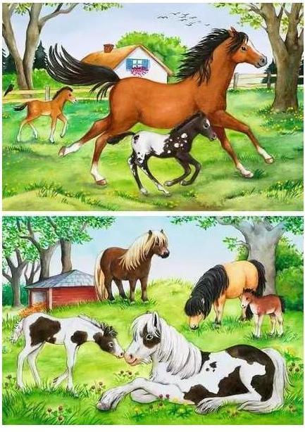 Immagine prodotto Ravensburger Il mondo dei cavalli (24 pezzi)