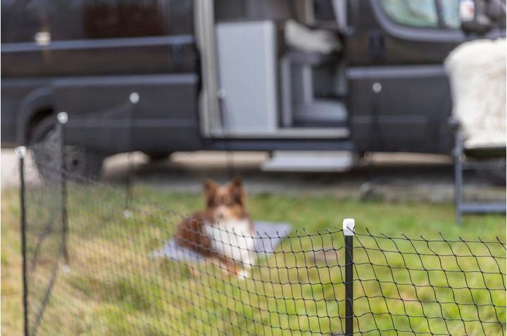 Immagine prodotto Trixie Recinto mobile per cani, 15 m, nero (Cane)