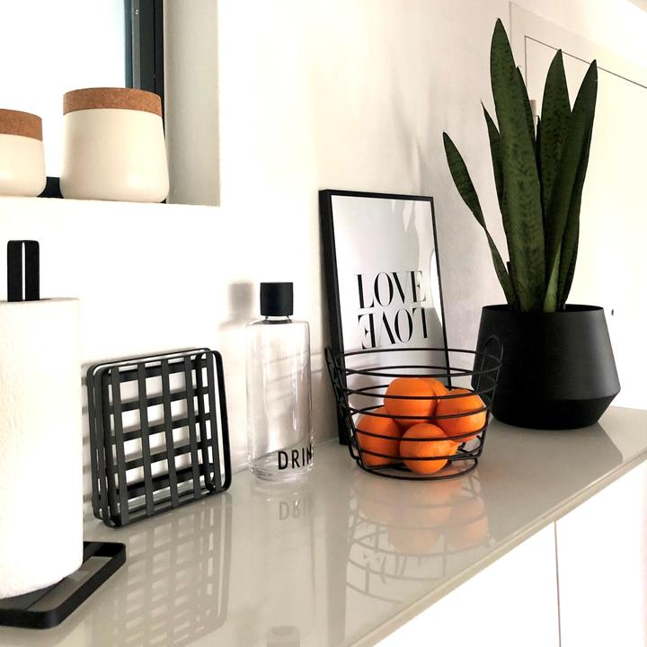 Immagine prodotto Flowerbox Canapa dell'arco - Sansevieria zeylanica (65 cm)