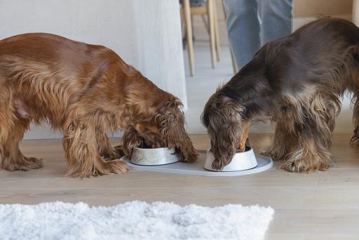 Image du produit Designed by Lotte Set de table Oona
