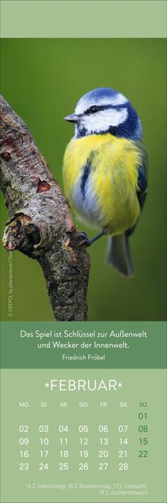 Actual product image Gute Gedanken Lesezeichen & Kalender 2026 (6 x 18 cm, Hardcover, German)