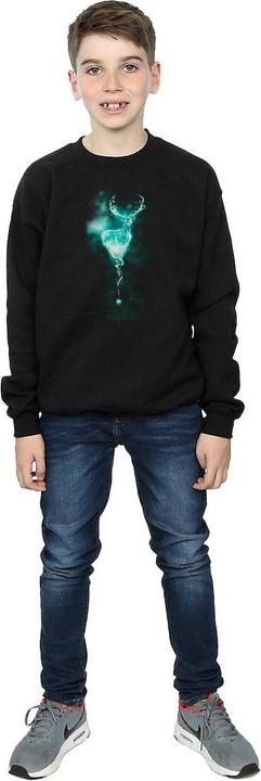 Produktbild Patronus Mist Sweatshirt Jungen (140, 146)