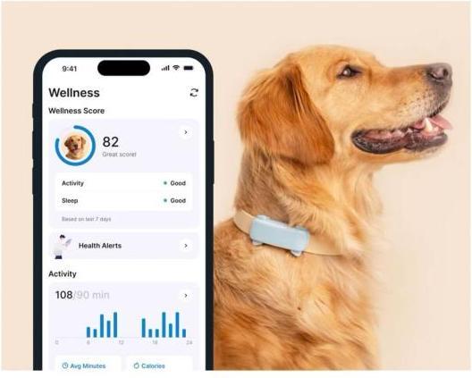 Image du produit Tractive GPS Tracker Dog 6 (Chien)