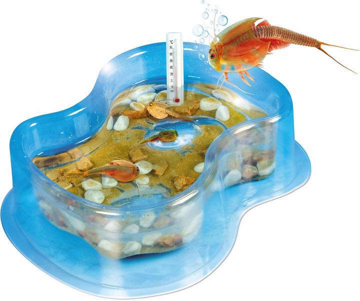 Immagine prodotto Clementoni Scienza e gioco Triops crescono