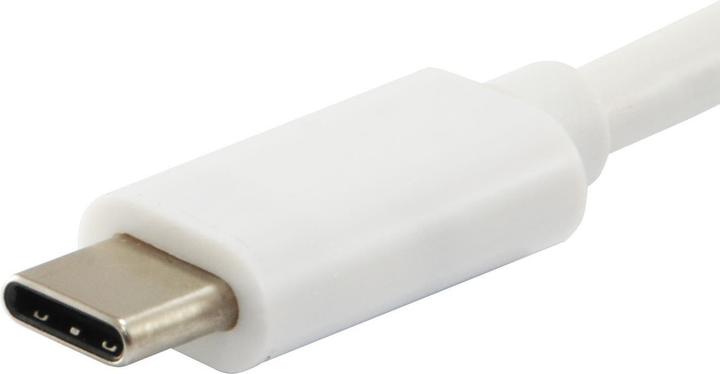 Immagine prodotto equip USB tipo C a (USB-C, 3 Porti)