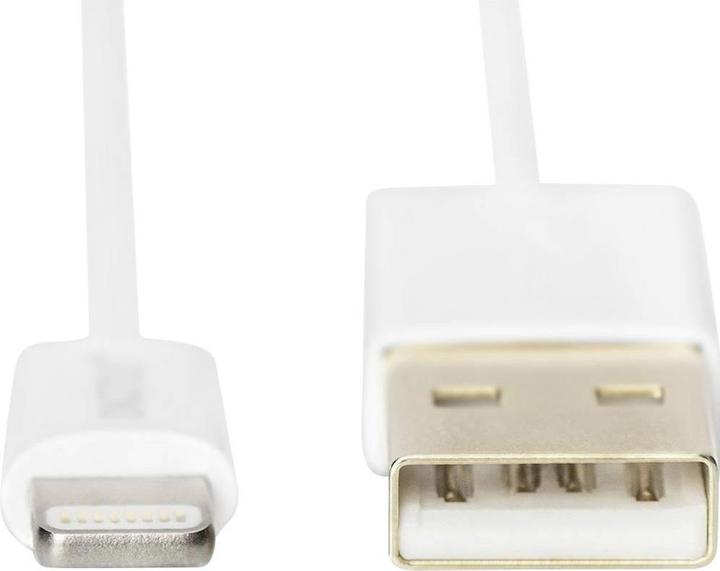 Actual product image Digitus DB-600106-010-W (1 m, USB 2.0)