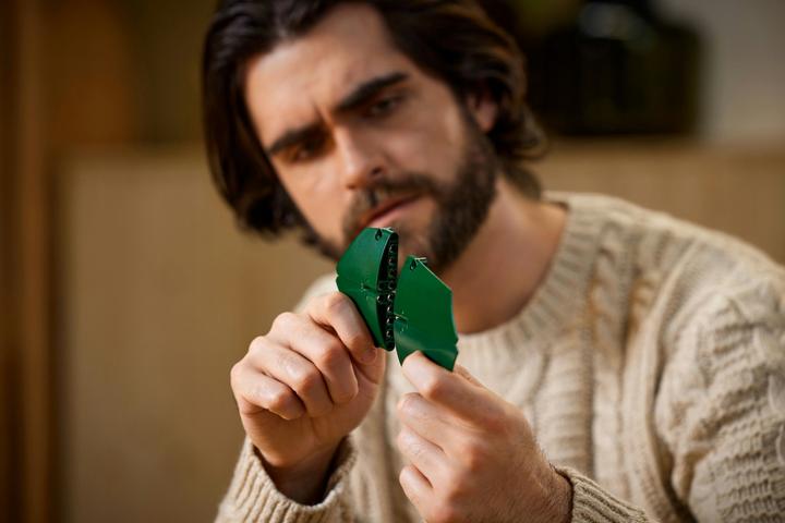 Produktbild LEGO Bird of Paradise (10289, LEGO Seltene Sets)