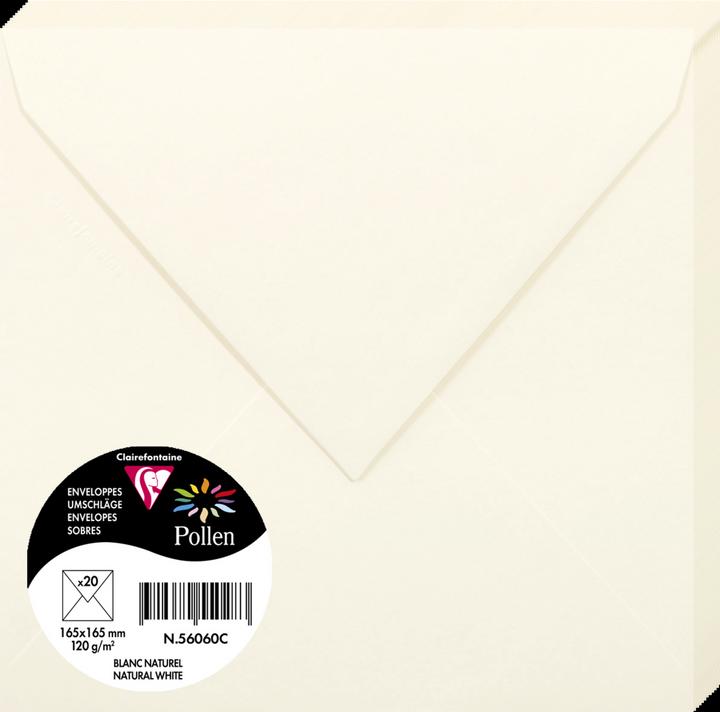 Actual product image Pollen Envelopes (165 x 165 mm, 4000 x)