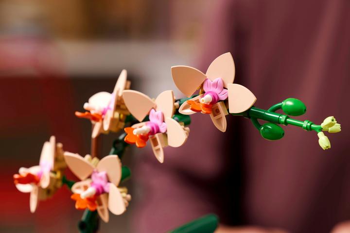 Immagine prodotto LEGO Mini-Orchidee (10343, LEGO Botanical)