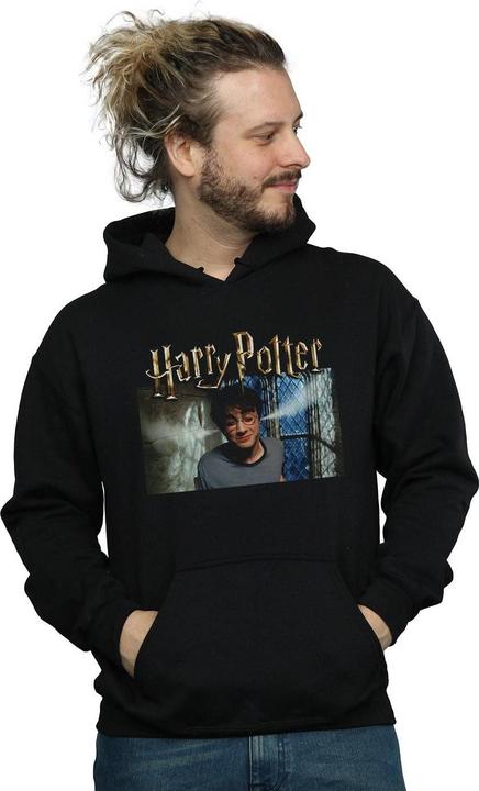 Actual product image Mens Steam Ears Hoodie (L)