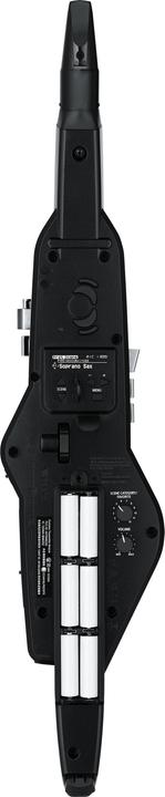 Produktbild Roland AE-20 Digitales Blasinstrument