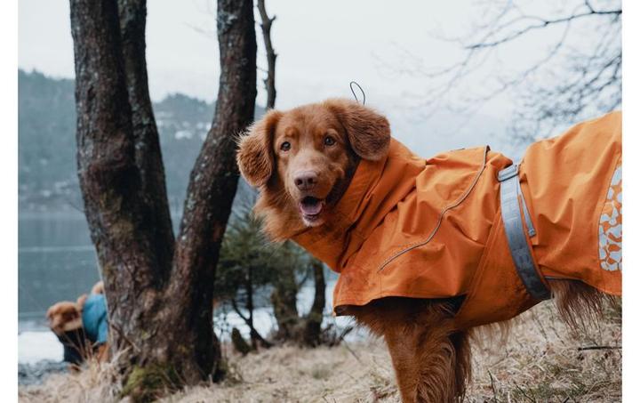 Produktbild Hurtta Regenmantel Monsoon Coat (20, XXS, XS, Hunderegenmantel)