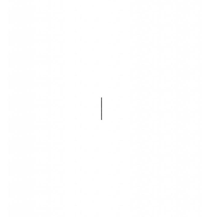 Image du produit APC PDU AP7554, Bloc de prises de base