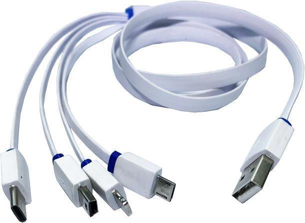 Audioraq 4in1 USB Ladekabel (0.80 m, USB 2.0)