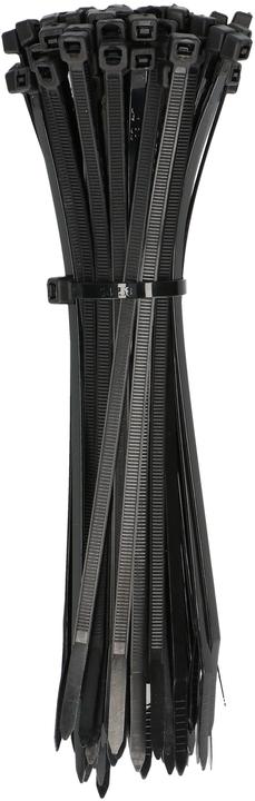 Max Hauri Kabelbinder (Kunststoffkabelbinder, 200 mm, 100 Stk.)