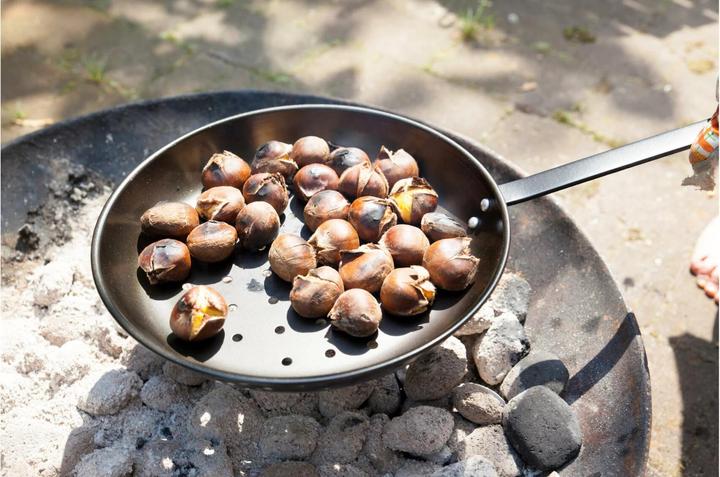 Immagine prodotto Esschert Design Grill Pan Castagno, Ø 27 cm