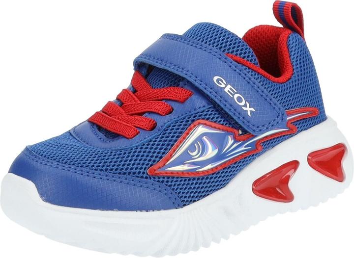 Geox Sneaker
