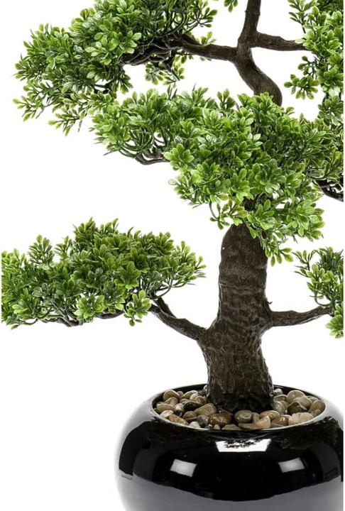 Image du produit Emerald Allan (47 cm)