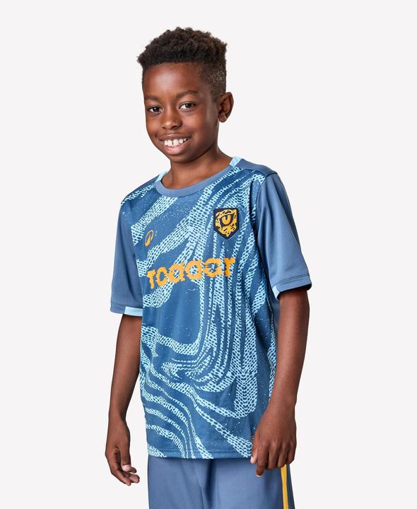 Produktbild Kipsta Kinder Fussball Trikot kurzarm - VIRALTO Kids Roarrr Cheetah blau/grau (14, 15, 16)