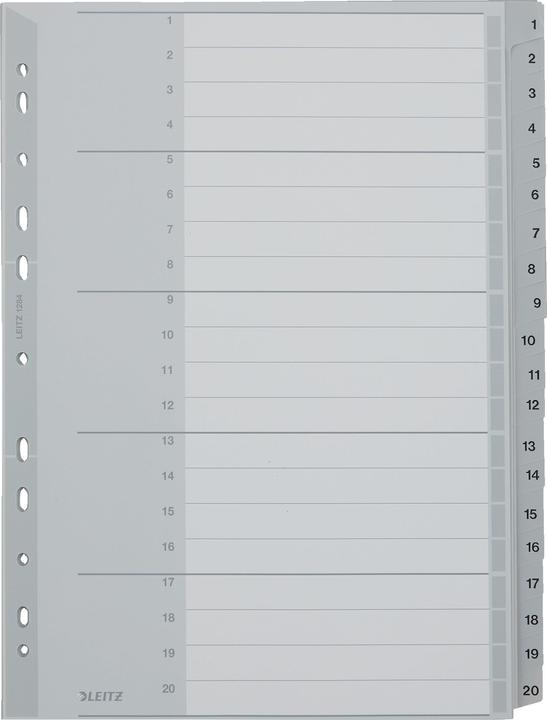 Actual product image Leitz Register
