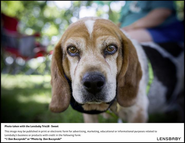Produktbild Lensbaby Trio 28 Nikon Z (Nikon Z, APS-C / DX, Vollformat, Micro Four Thirds)