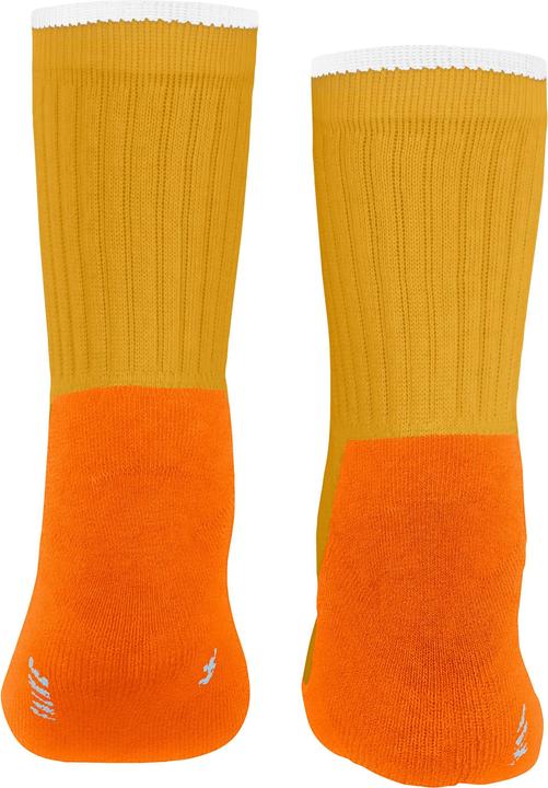 Actual product image Falke Active Everyday Kids Socks (19 - 22)