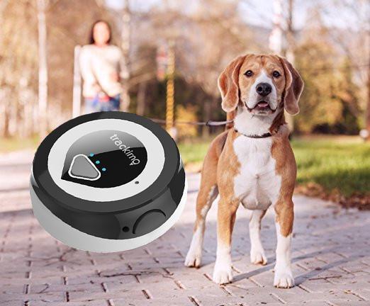 Actual product image Trackimo Mini 2G