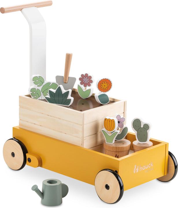 Hauck Learn to Walk Plants