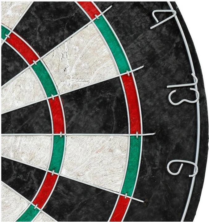 Actual product image Masterdarts Master Darts Classic Dartboard
