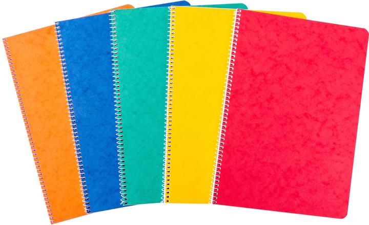 Actual product image Novooo Spiralheft assortiert (A4, Lined)